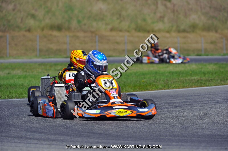 DSC_ (1397).jpg